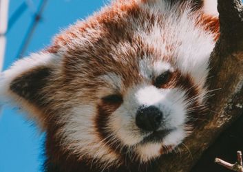 nikolai-justesen-UFTRoat-HQk-unsplash-scaled-1024x577.jpg