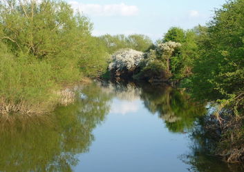 river-cherwell-oxfordshire.jpg