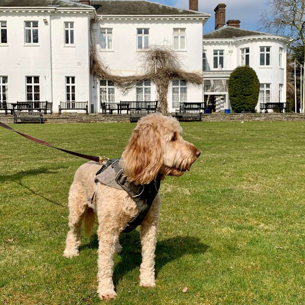 local-dog-friendly-hotel-oxford-abingdon-milton-hill-house